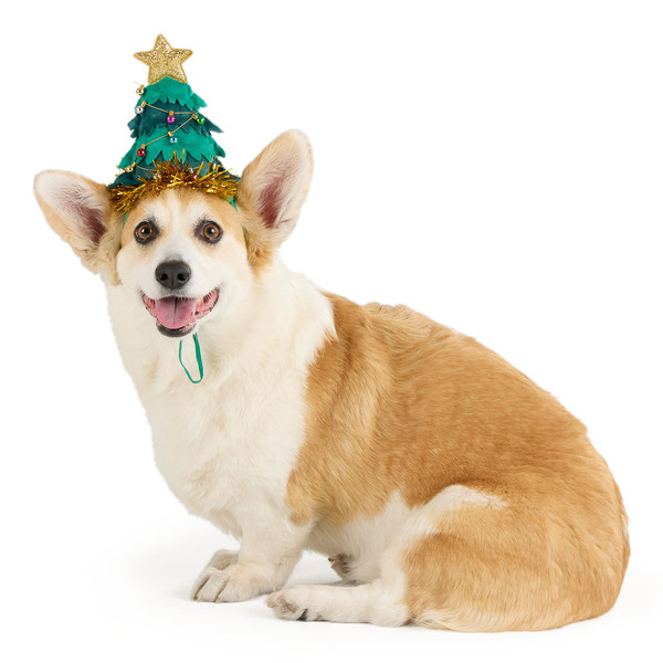 Merry & Bright Christmas Tree Dog Headband, S/M