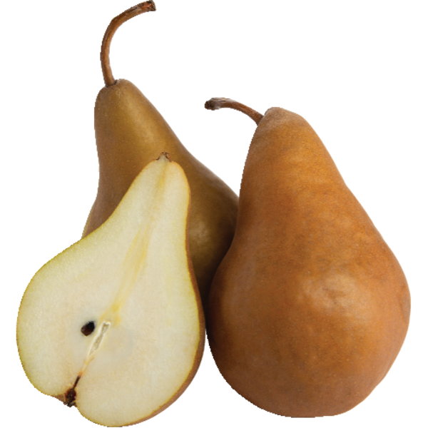 Bosc Pear