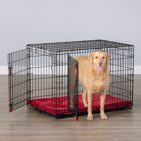 Kong Ultra-Strong Two Door Crate, 42 x 29 x 31 in
