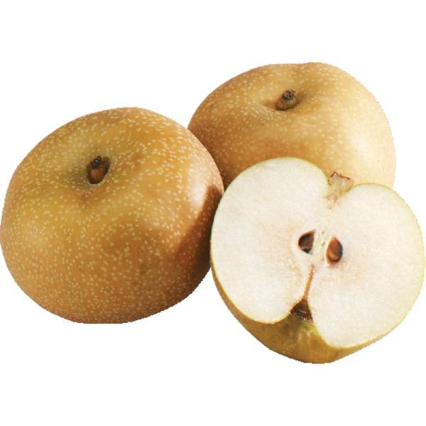 Asian Pear