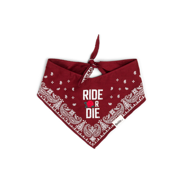 Reddy Dog Dog Bandana