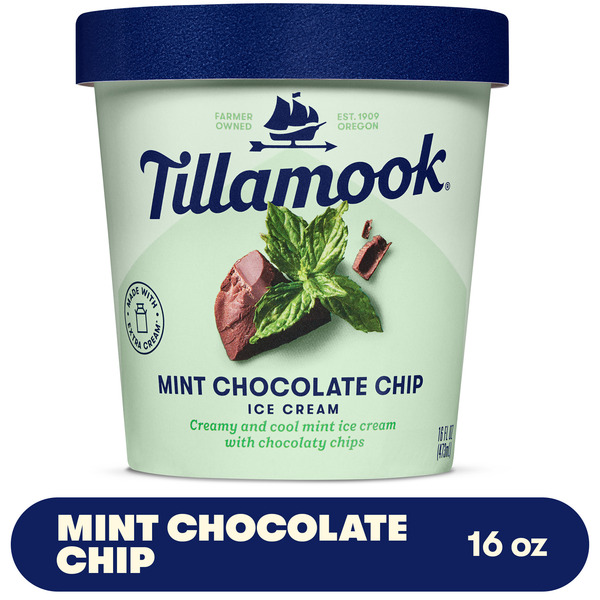 Tillamook Mint Chocolate Chip Ice Cream Pint, 16 fl oz Same-Day