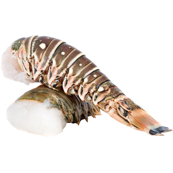 Warm Water Lobster Tail