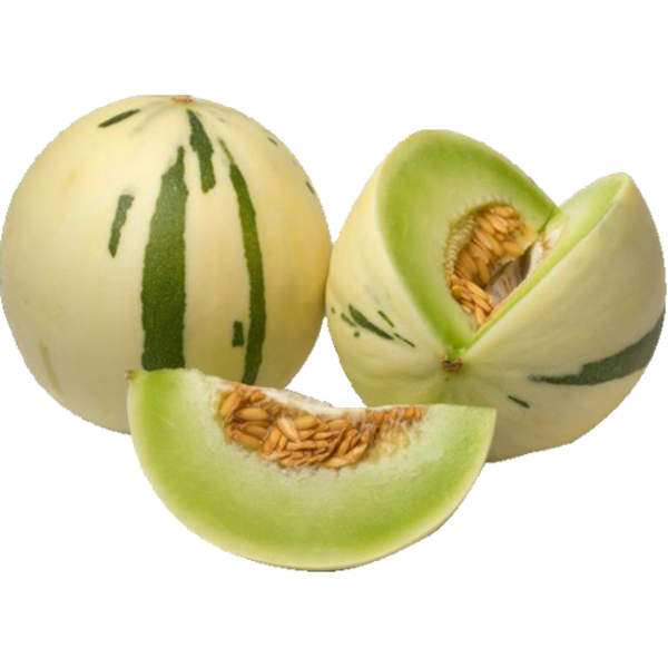 Dino Melon