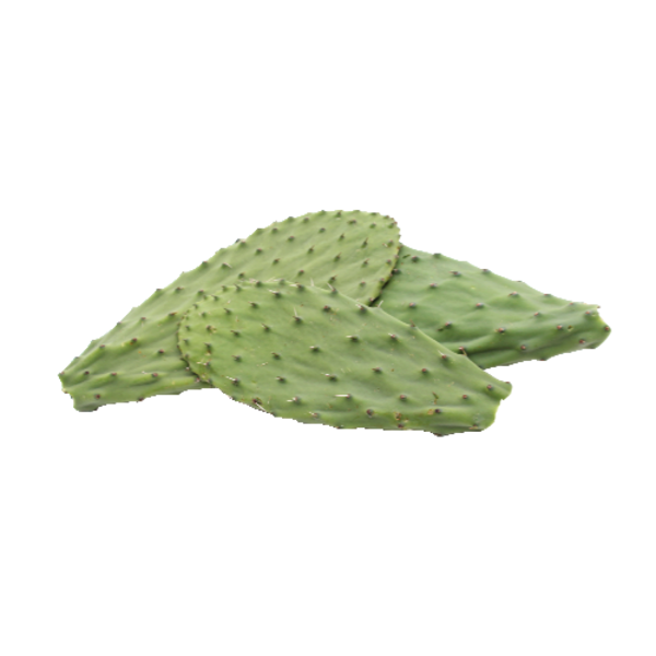 Whole Cactus Leaf Same-Day Delivery or Pickup | Sprouts Farmers Market