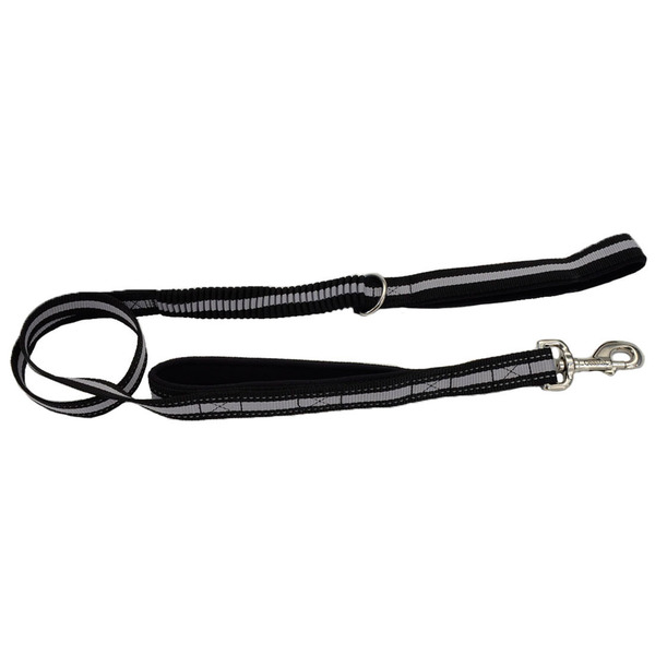 Coastal Pet Black Dog Leash