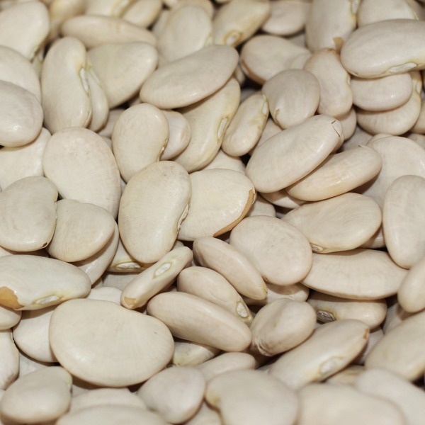 Amazonas Rainforest Products Gourmet Giant Lima Beans