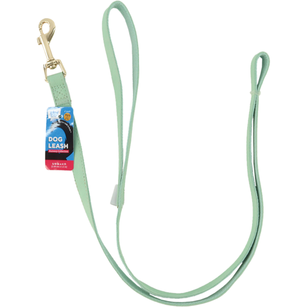 Play On Faux Leather Dog Leash, 5/8 in x 4 ft - Mint