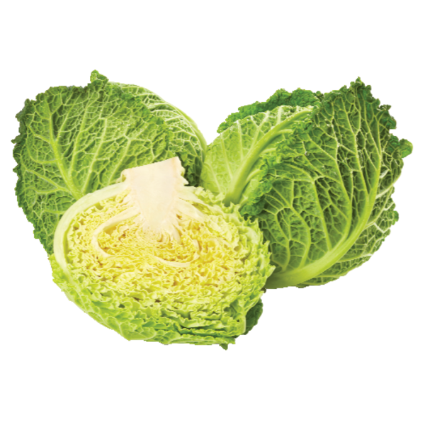 Organic Savoy Cabbage