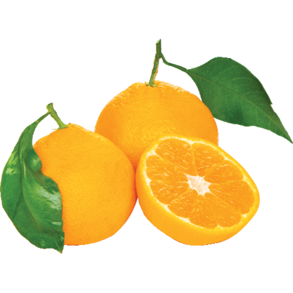 Satsuma Same-Day Delivery or Pickup | Sprouts Farmers Market