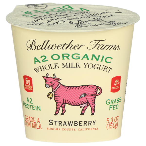 Bellwether Farms Organic A2 Strawberry Whole Milk Yogurt
