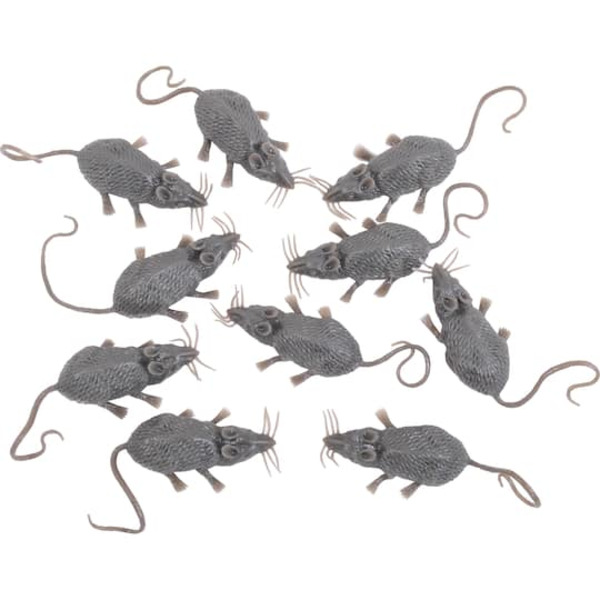 Ashland Mice