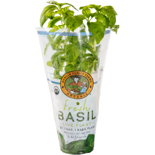 Duncan Family Farms Organic Potted Basil 5.25"