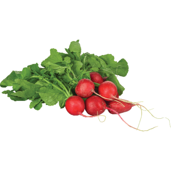 Red Radishes