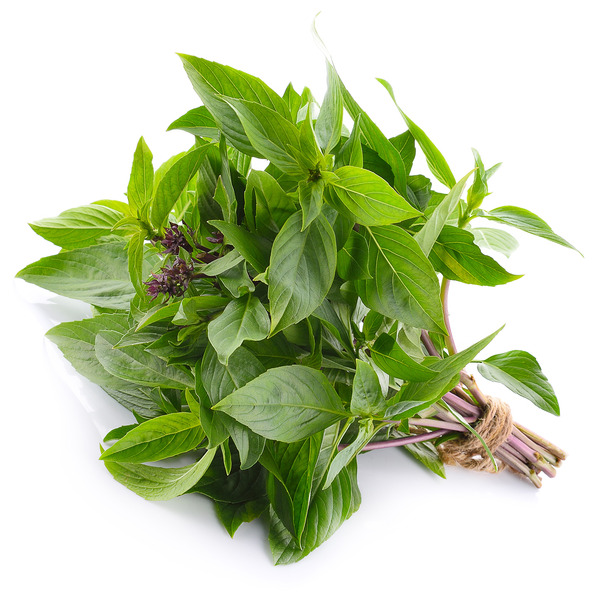 Basil