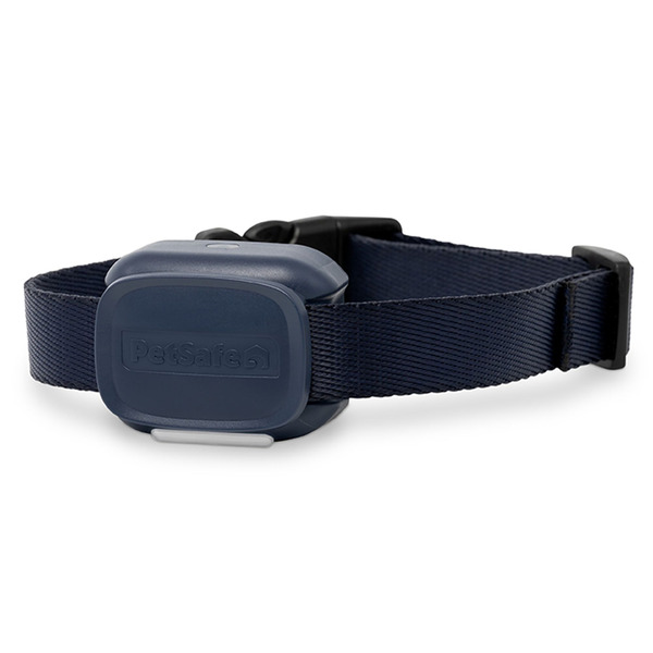PetSafe Core Trainer Add-a-Dog Collar With Remote