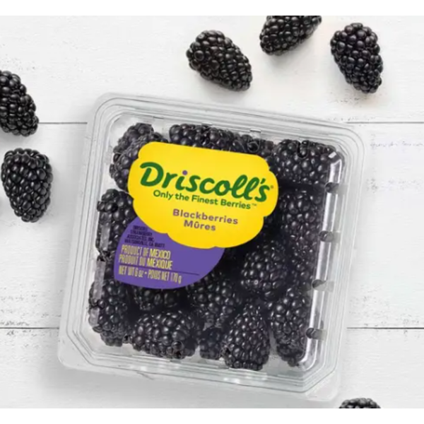Driscoll - Blackberries