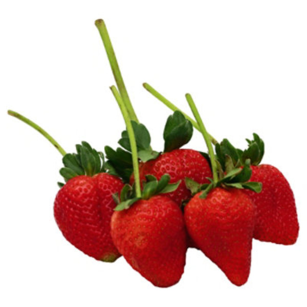 Stem Strawberries Package