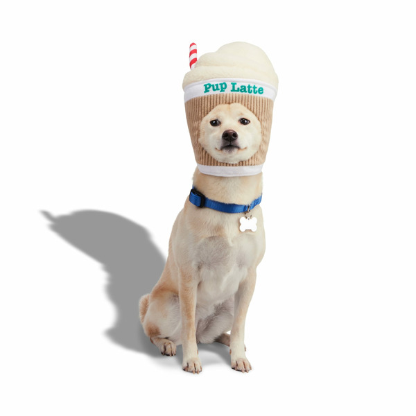 Bootique Pup-Latte Headpiece for Dogs, L/XL