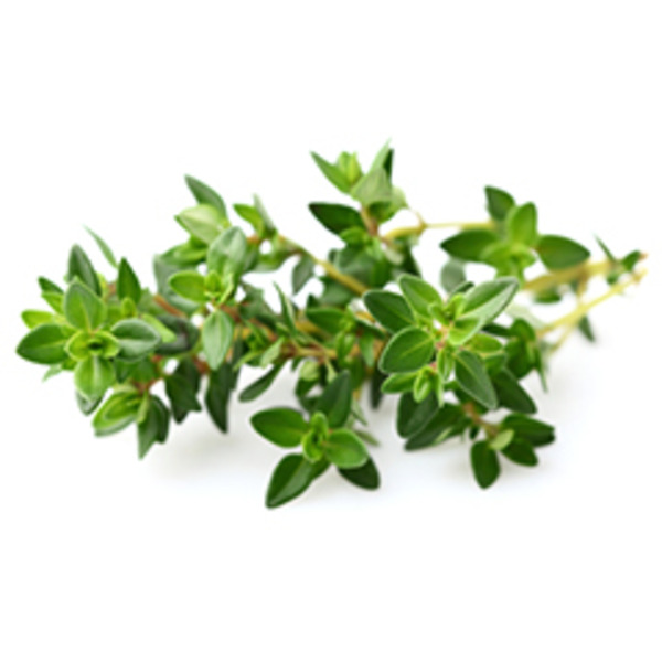 Cardenas Markets PACKAGED THYME
