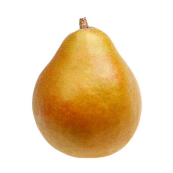 Sage Fruit Company Taylor's Gold Pear