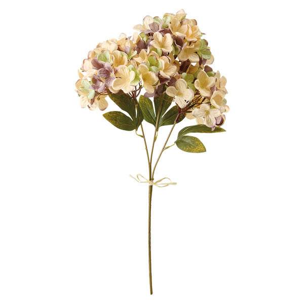 Hydrangea4936　0901 DirectFloral. 21