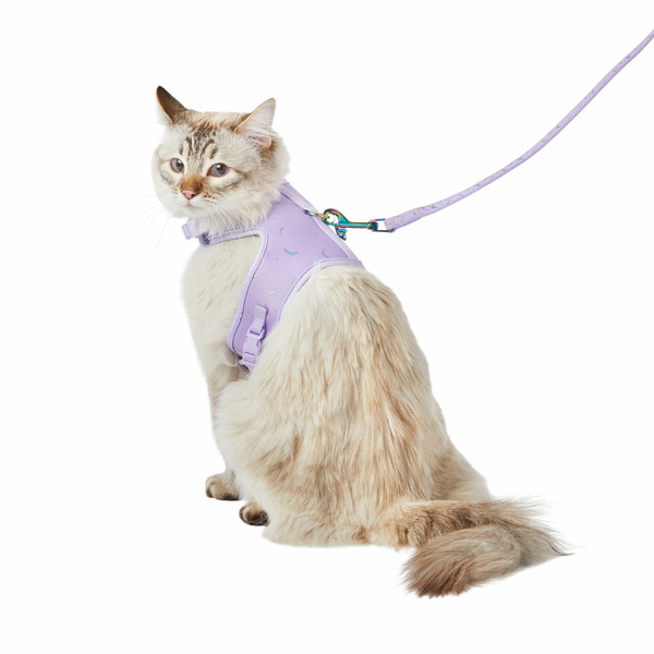 Whisker City Moons Cat Leash & Harness Combo - Purple