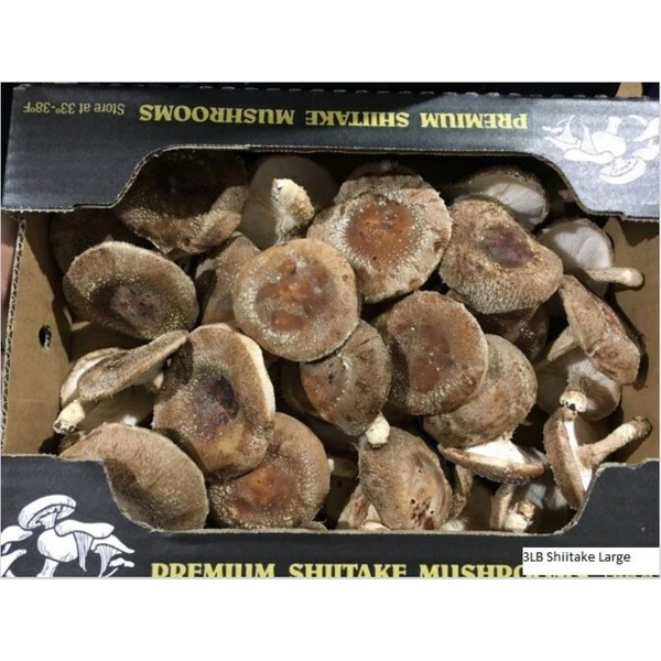 Large Shiitake Mushrooms 3lbs Delivery or Pickup | Restaurant Depot