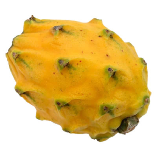 Yellow Pitahaya Dragon Fruit