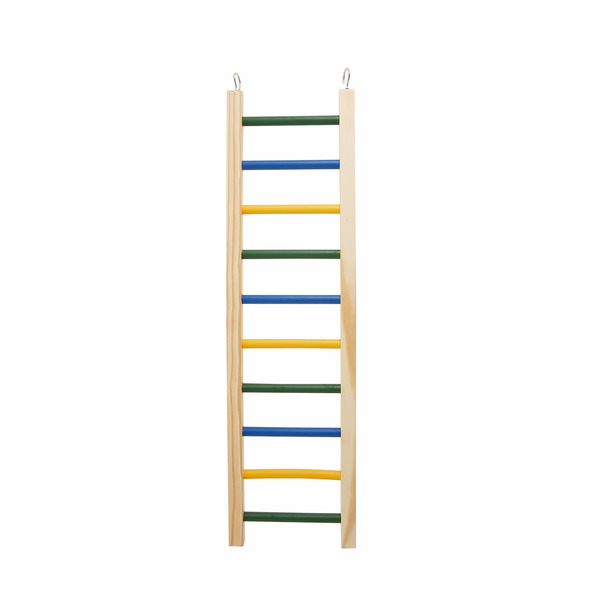 All Living Things Natural Ladder, Large