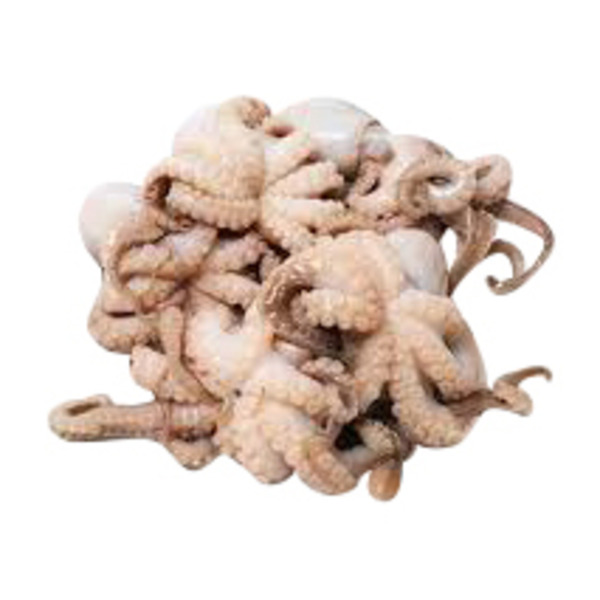 Cardenas Markets Large Raw Octopus