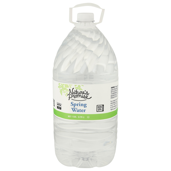 Food Lion Nature's Promise Spring Water Same-Day Delivery or Pickup ...