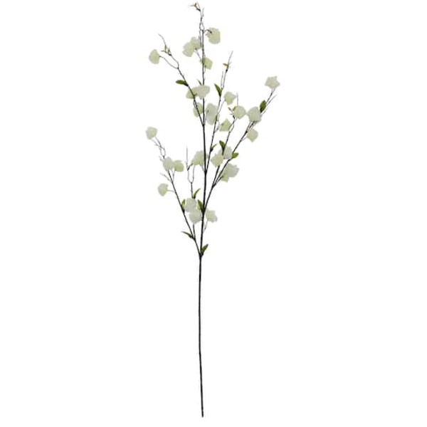 Ashland Chinese Lantern Stem