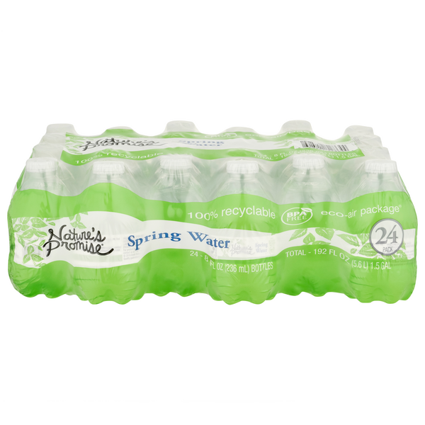 Food Lion Nature's Promise Spring Water Same-Day Delivery or Pickup ...