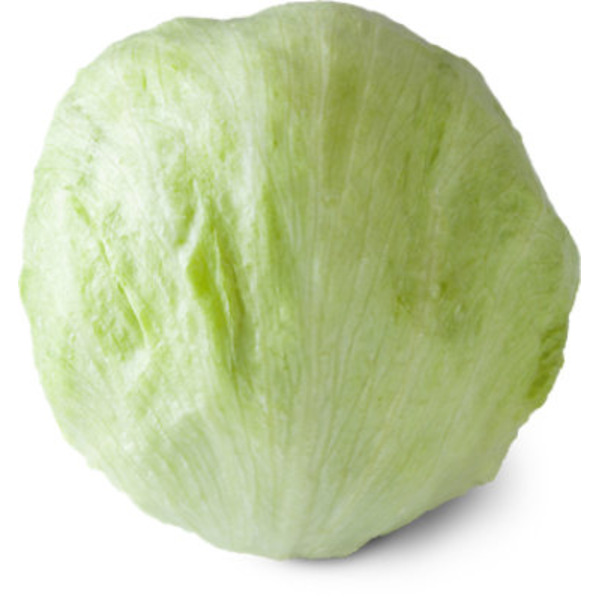 Iceberg Lettuce