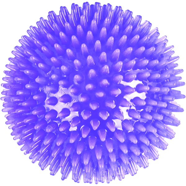 Play On Squeak & Light Up Spiky Ball Dog Toy