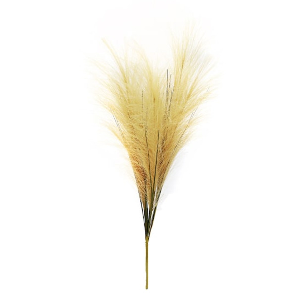 Ashland Pampas Grass Bush