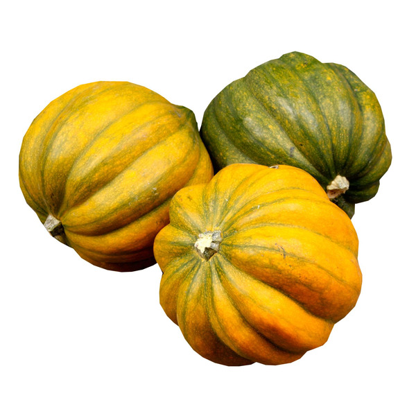 Kabocha Squash