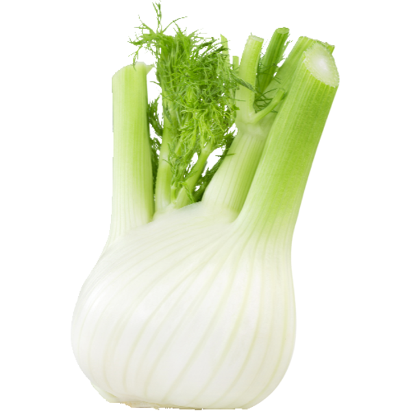 Organic Anise Fennel