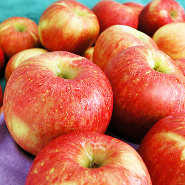 Apples, Organic, Fuji