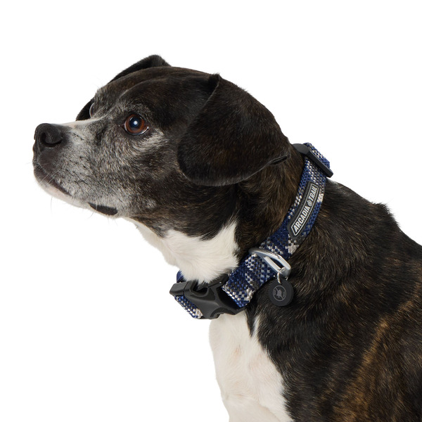 Arcadia Trail Paracord Dog Collar, Large