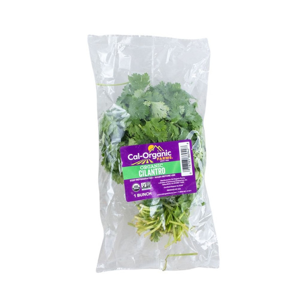 ORGANIC CILANTRO