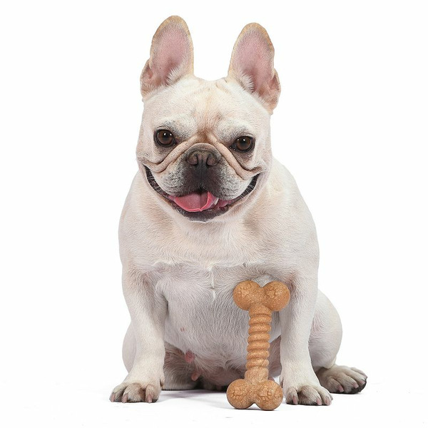 Arm & Hammer Dental Toy, for Dogs, Classic Bone