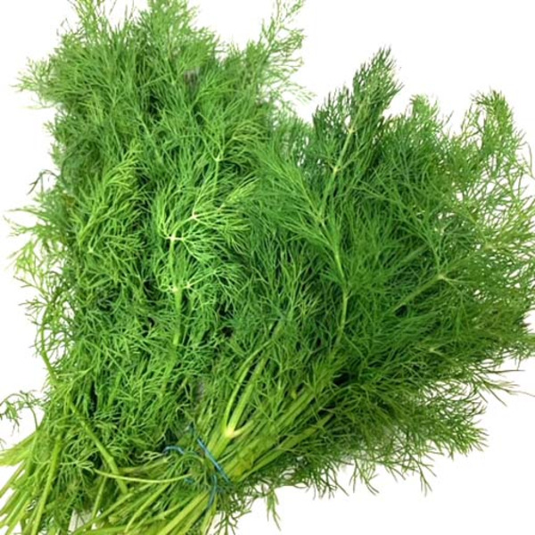 Baby Dill