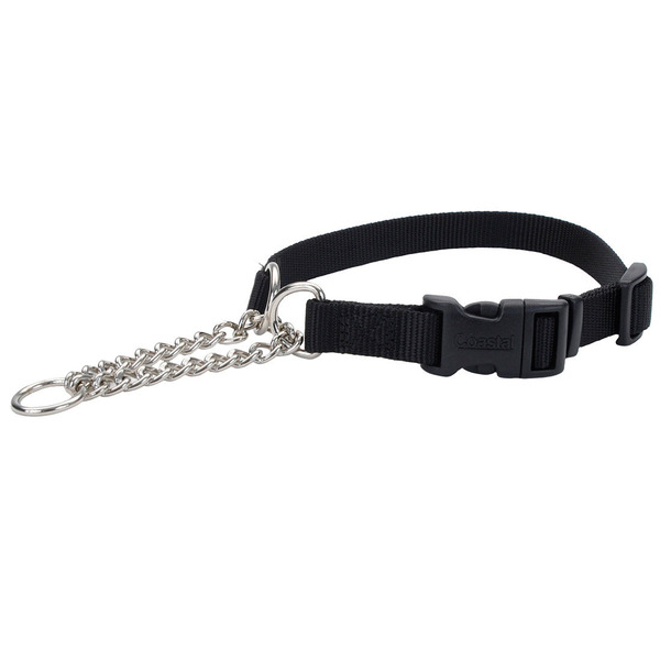 Coastal Adjustable Check Training Dog Collar With Buckle