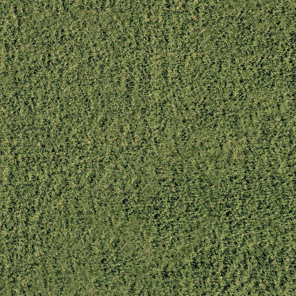 Trafficmaster Emerald Green 5 Ft. X 7 Ft. X 30 Mm Green Artificial Grass Turf Rug, Dog And Pet Friendly, Outdoor Patio, Backyard, Lawn