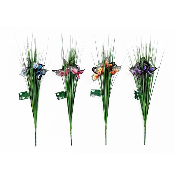 Spring Butterfly Onion Grass Bush