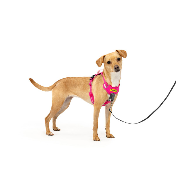 PetSafe Easy Walk® Comfort Harness, Extra Small, Pink