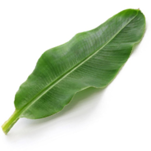 Banana Leaves