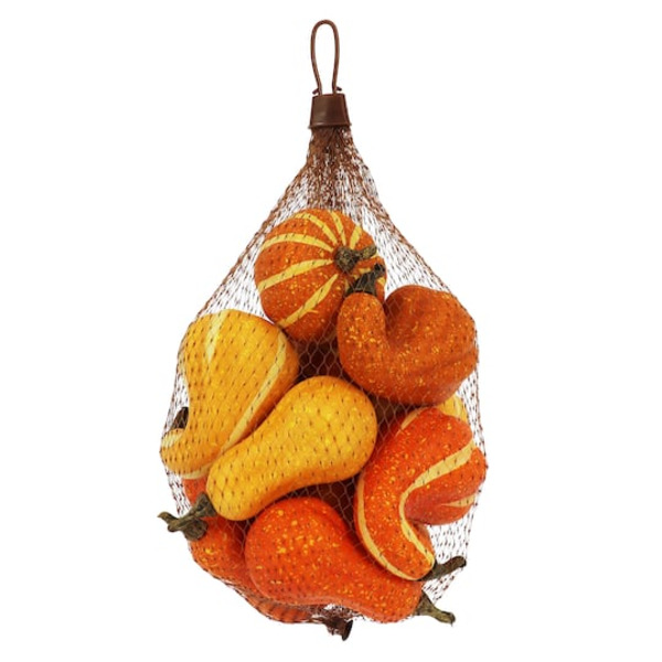 Ashland Natural Decorative Gourds